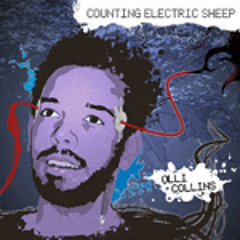 Counting Electric Sheep