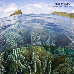 Reef Project - True Clown