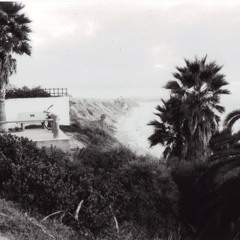 Le Loup - Beach Town (Touchy Mob Remix)