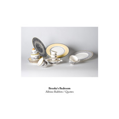 Brooke's Bedroom - Albino Rabbits