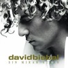 David bisbal - mi princesa