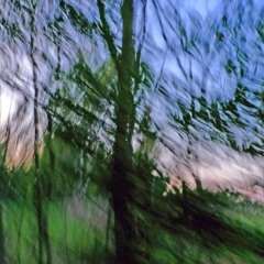 Instant Karma feat. Ben Brown - Waldlauf