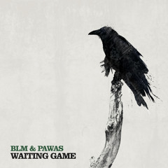 Waiting game (Original mix) - BLM & Pawas