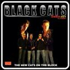 Black Cats - Boro [FazMide.Org]