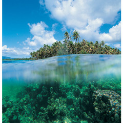 Dukary Esald - Tronic (Original Mix)