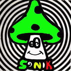 DJ SONIK- Newborn