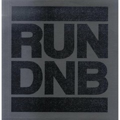 The Funktion - Unleashed (RUN DNB) (July 2010)