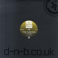 The Funktion - Gyrator (RUN DNB)