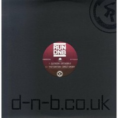 The Funktion - Direct Order (RUN DNB)