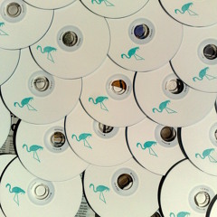 RSS DISCO #002 / summer 2010