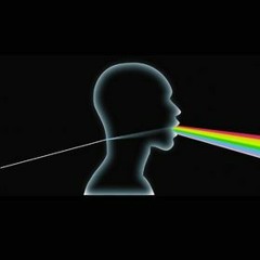 Pink Floyd - Run Like Hell (Shok's Dark Side of The Wall mix)