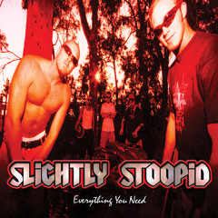 Slightly Stoopid