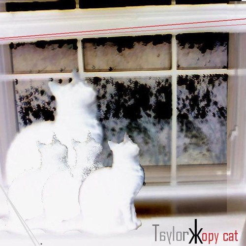 Lover's Carvings (Funky Drummer Remix)