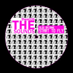 Aldo BRIONNE - Start To Fly (Guy From Downstairs Remix)