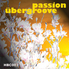 Passion (Brixton Borders Remix)