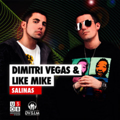 Dimitri Vegas & Like Mike - Salinas (Yves V Remix)