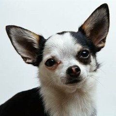 Mark Verbos - Lost dosed 09