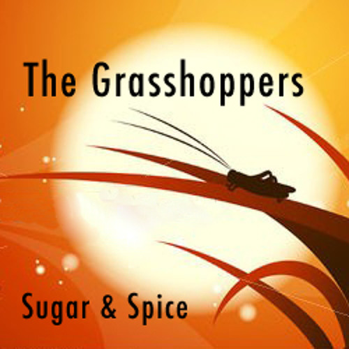 Sugar and Spice - The Grasshoppers (The Searchers cover)
