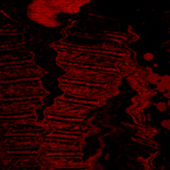 BLOOD ON THE DANCEFLOOR - DIGIRAATII