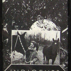 Homenatges - untitled excerpt