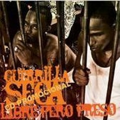 Guerrilla Seca -  Gangstas