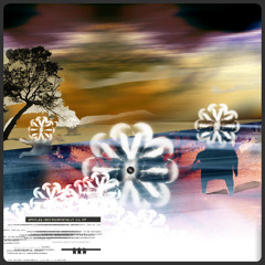 Aphilas - Blind Matador Techniques