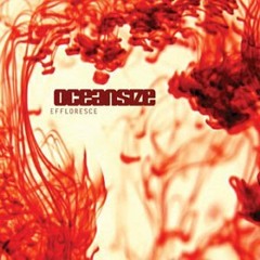 Oceansize - Amputee |as Mr. Underrated|