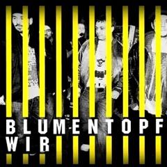 WIR Albumsnippet (VÖ 04.06.10)