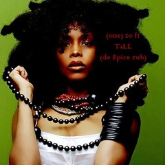 Erykah Badu - (one) 20ft Tall (De Spice Rub) - Uncle D