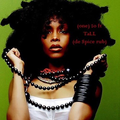 Erykah Badu - (one) 20ft Tall (De Spice Rub) - Uncle D