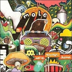 Who Could Win a Rabbit - MoM, Animal Collective Cover