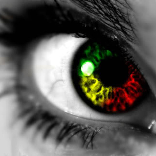 Reggae, Dub Reggae, Dancehall, Reggaeton