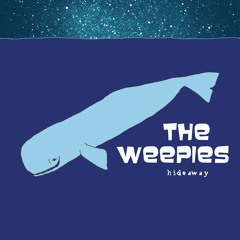 The Weepies - Can't Go Back Now