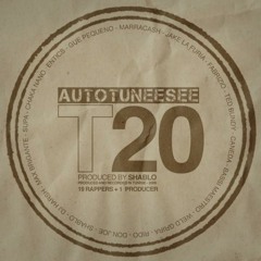 T20 - "Autotuneesee"