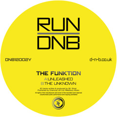 The Funktion - The Unknown