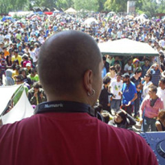 Duca