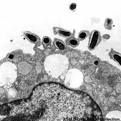 Janner - Proteus (clip) - OUT NOW on JEMENFISH RECORDINGS