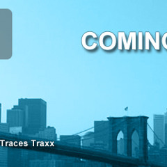 Viper (Traces Traxx Remix)