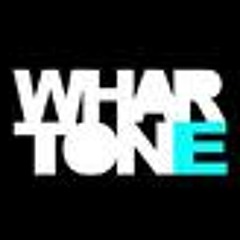 Russell G & Ad Brown  "Slide" (SpinMonkeys Remix)