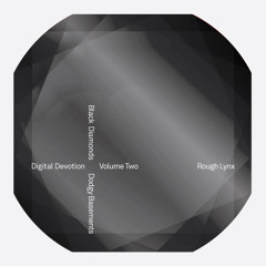 Rough Lynx Sound - Digital Devotion Vol. 2