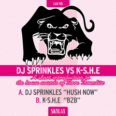 SKYLAX 115 - B.DJ Sprinkles Vs K - S.H.E "B2B"