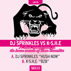 SKYLAX 115 - A.DJ Sprinkles Vs K - S.H.E "Hush Now"