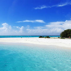 The Widdler - It's A Fine Day