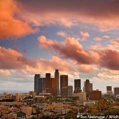 Rusko - Da Cali Anthem