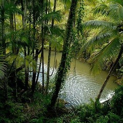 George Lenton - Jungle Whomp