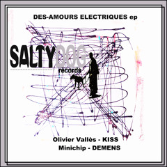 MINICHIP-demens