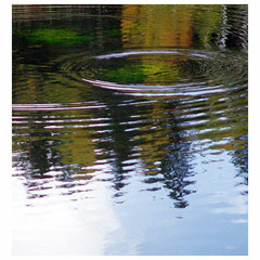 Ripples