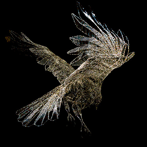 Bird of Prey ft. Iguana-Xenomorphic