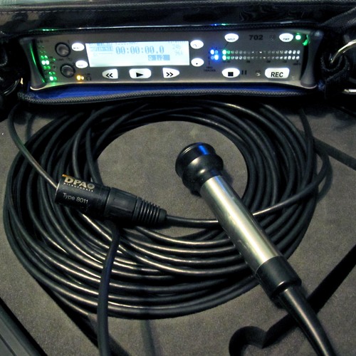 Recordings from the DPA 8011 Underwater Omnidirectional Microphone