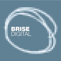 Massimiliano Mascaro - Mandala (Brise Records)